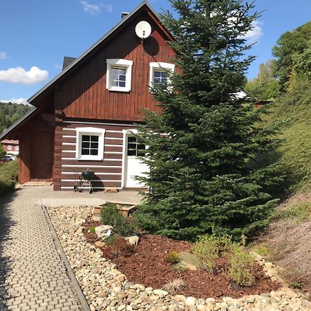 Modern Chalet Na Zlatniku Zlata Olesnice  Bagian luar foto